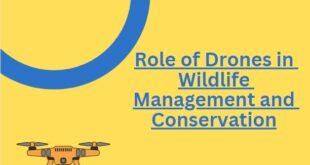 Drones in Wildlife Management and Conservation